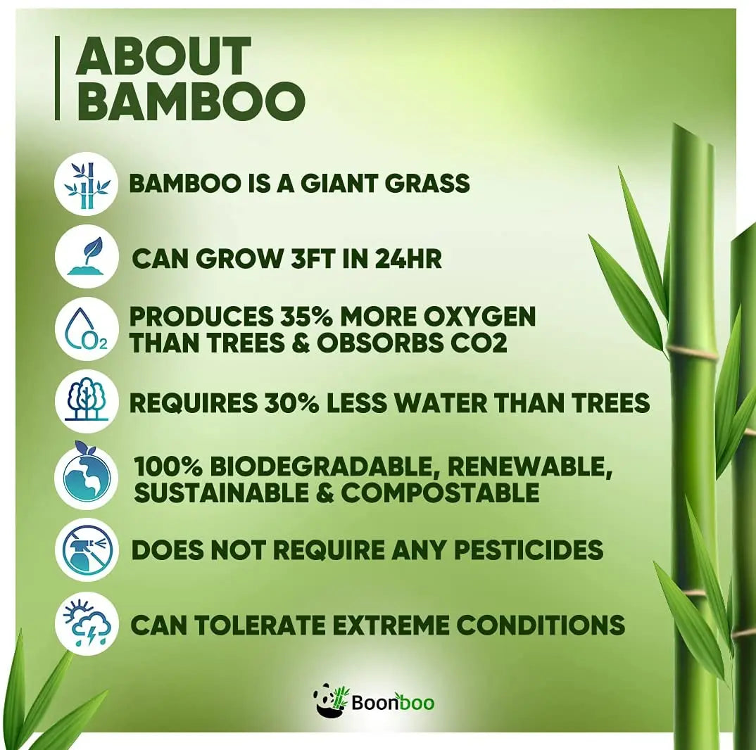 Bamboo Toothbrush: Eco-Friendly with Bamboo joint Wood Handle