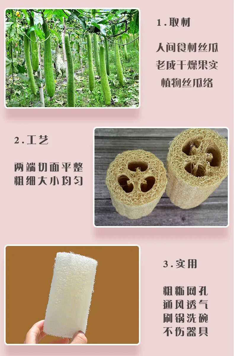 Natural Loofah Sponge round Brush for Bath And Dish Cleaning