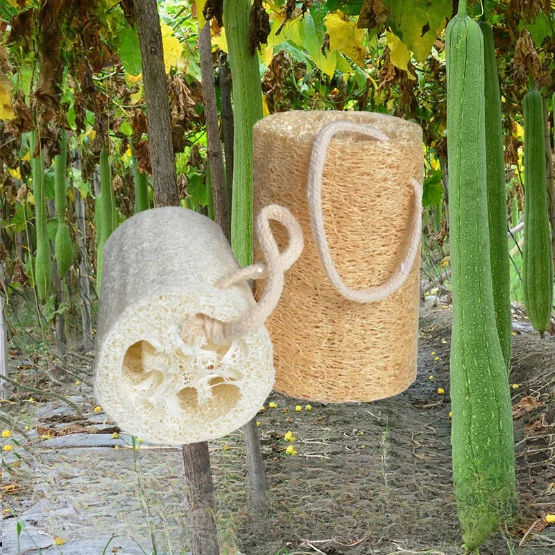 Natural Loofah Sponge round Brush for Bath And Dish Cleaning