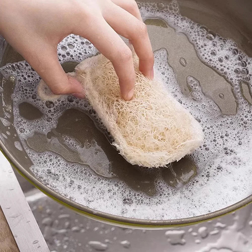 8PCS/4PCS/1PC High-Guality Natural Luffa Sponge